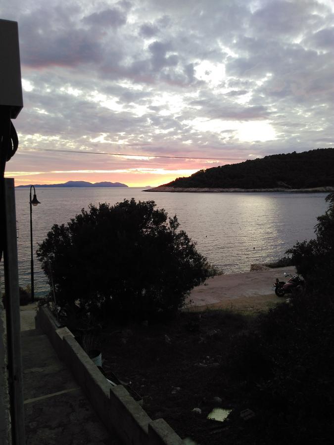 Apartment Vesna Milna  Dış mekan fotoğraf